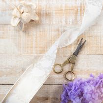 položky Organzová stuha, krémová, ozdobná stuha se srdíčky, šířka 40 mm, délka 15 m