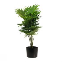 položky Palmový dekorativní vějíř palmové umělé rostliny květináč zelený 80cm