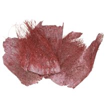 položky Palmové vlákno na tvoření, bordó, bílé prané, 20-40 cm, 250 g