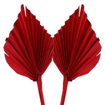 položky Palmspear Red 65 ks