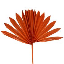 položky Palmspear Sun Orange 30 ks