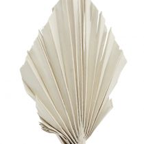položky Palmspear Mini bílé vyprané 100 ks