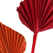 položky Palmspear mini sort. Červená/oranžová 100 ks