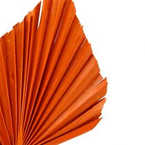 položky Palmspear Orange 65 ks