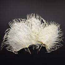 položky Palmové listy sušené dekorativní listy bělené 45 cm 5 ks