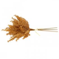 položky Umělá pampová tráva Oranžová suchá tráva 35cm 4ks