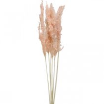 Sušená pampová tráva růžové sušené květy přírodní dekorace 65-75cm 6ks