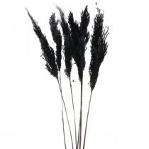 položky Pampas tráva černá 65-75cm suchá tráva přírodní dekorace 6 kusů