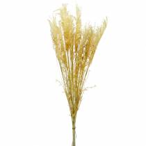 položky Pampas tráva žlutá Umělá okrasná tráva Suché květinářství 3ks