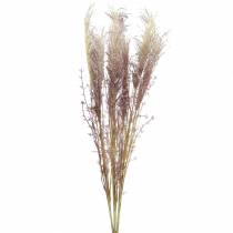 Pampas grass créme, fialka Umělé sušené květiny 3ks