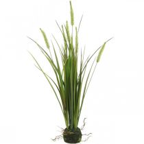 Umělý rákos s kořenovým balem umělá rostlina V63cm