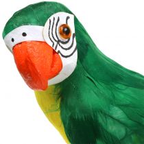 Dekorativní papoušek zelený 44cm