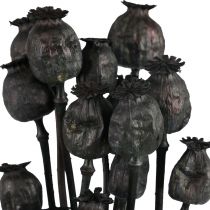 Sušené květy mák tobolky sušené Černý papaver 80g