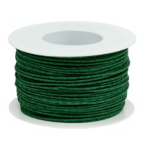 Papírová šňůra omotaná drátem Ø2mm 100m zelená