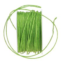 položky Papírová šňůra ovinutá drátem Ø2mm 100m jablkově zelená