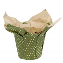 Papírový košíček vzorovaný zeleno-bílý Ø11,5cm 8ks