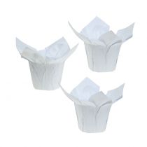 Papírové květináče bílé Ø8cm 12ks