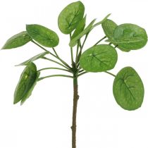 Peperomia Umělá zelená rostlina s listy 30cm