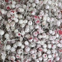 položky Bobule papriky sněžné, zimní dekorace, sušené květiny, advent, růžový pepř praný bílý 170g