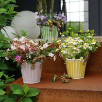 položky Kovový květináč, jarní dekorace, květináč s držadly Yellow Shabby Chic Ø18cm H17,5cm
