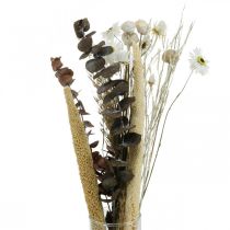 Kytice ze sušených květin s eukalyptem bílá DIY krabička V30-35cm