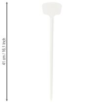 položky Rostlinný štítek 36cm 10ks.