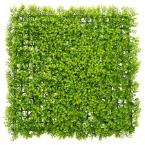 položky Umělá podložka z buxusu 55x55 cm pro dekorativní nástěnný design