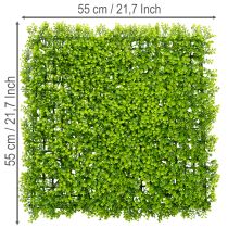 položky Umělá podložka z buxusu 55x55 cm pro dekorativní nástěnný design