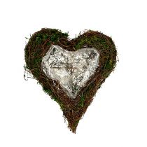 položky Rostlina srdce liána, mech 22 cm x 25 cm V7 cm
