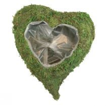 Rostlinné srdce mechově zelená miska na rostliny srdce 20x20x5,5cm