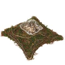 položky Rostlinný polštář, miska z mechu, přírodní 20×20×6,5 cm