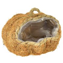 položky Košík s rostlinami dýně podzimní dekorace oranžová Ø22cm V17cm