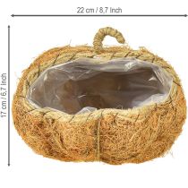 položky Košík s rostlinami dýně podzimní dekorace oranžová Ø22cm V17cm