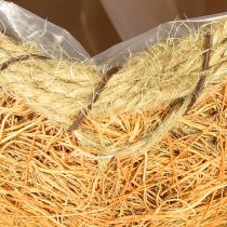 položky Rostlinný košík dýně s fólií podzimní dekorace oranžová Ø18cm V15cm