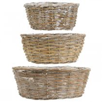 položky Sada 3 proutěných košů, květináčů, dekorativních košů, bíle vybledlý vintage styl, Ø21,5/26/31 cm pro dům a zahradu