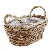 Košík na rostliny košík z mořské trávy s uchy oválná dekorace 23×13×9cm