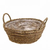 Košík na rostliny kulatý koš z mořské trávy s uchy ozdobný koš Ø25cm V9cm