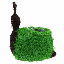 položky Květináč Snail Vine Natural, Green 21x14cm H26cm
