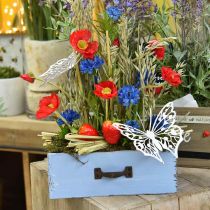 Dřevěná zásuvka na rostliny světle modrá shabby chic truhlík na rostliny 25×13×8cm