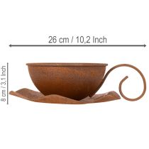 položky Květináč s podšálkem, rezavý povrch, Ø19,5 cm, V8 cm