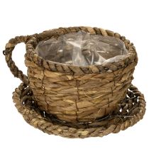položky Květináč s podšálkem, malý slámový květináč, Ø17cm V13cm