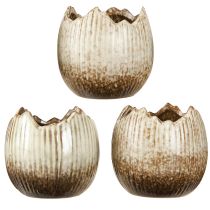 položky Rostlinný květináč Keramické vajíčko Broken Cream Brown Ø9,5cm 3 ks