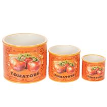 položky Sada květináčů na rajčata, keramické dekorativní květináče do kuchyně a retro dekorace, 14 cm, sada 3 kusů