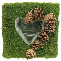 Rostlinný polštářek srdce mech a šišky čtvercové 25 × 25 cm