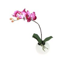 Umělé orchideje v květináči Phalaenopsis umělé květiny orchidej růžové 34cm