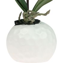 položky Umělé orchideje v květináči Phalaenopsis umělé květiny orchidej růžové 34cm