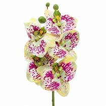 Umělá větev orchideje Phaelaenopsis Green Pink H49cm