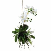 Orchidej s kapradím a mechovými koulemi umělé bílé závěsné 64cm