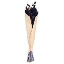 položky Phalaris fialová sušená dekorativní tráva 50-55 cm 100 g