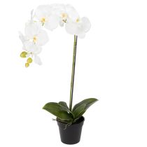 položky Umělá orchidej, klamně realistická, pro dekoraci kanceláře a obývacího pokoje, 62 cm